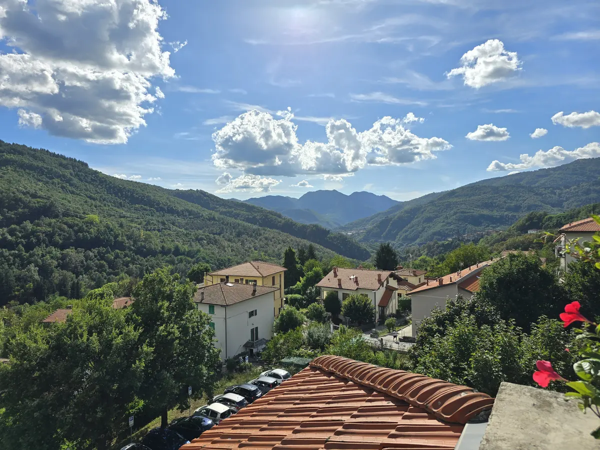 Vista dalla terrazza sui boschi e sulle montagne intorno al paese